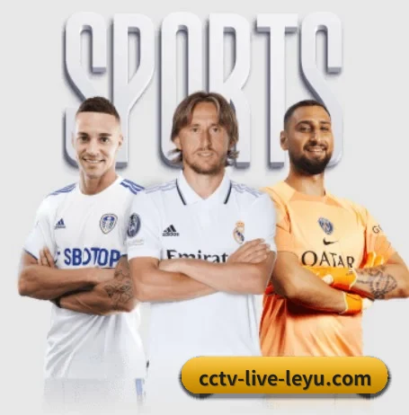 乐鱼围绕看球场景设计的核心服务 | leyu