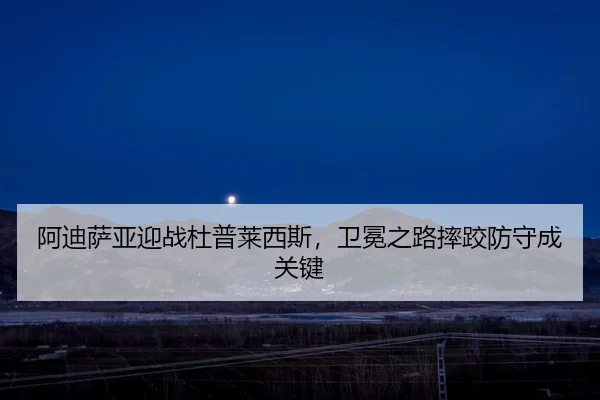 a-di-sa-ya-ying-zhan-du-pu-lai-xi-si-wei-mian-zhi-lu-shuai-jiao-fang-shou-cheng-guan-jian-2-980.jpg