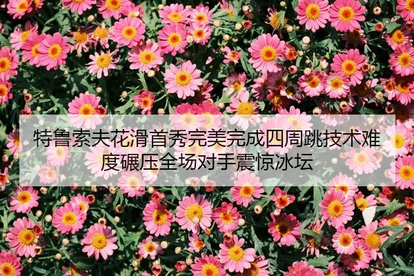 特鲁索夫花滑首秀完美完成四周跳技术难度碾压全场对手震惊冰坛